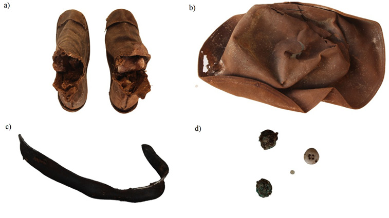 Fig2.tif