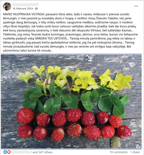 Vaizdas yra „Facebook“ vartotojo, pateikto anonimiškai, įrašo ekrano nuotrauka. Įrašą sudaro autoriaus (-ės) tekstas lietuvių kalba, kuriame dalijamasi vilties kupinais pamąstymais apie pavasarį, Lietuvos gamtą, žemuoges, miškus ir patriotinius jausmus. Po tekstu pateikiama, tikėtina, autoriaus (-ės) daryta nuotrauka. Joje ant nelygaus, apsitrynusio, pilkšvo medinio paviršiaus guli trys aiškiai atskirti objektų sluoksniai, išdėlioti tvarkingomis linijomis: viršuje – geltoni lauko gėlių žiedeliai, per vidurį – žali dobilo lapeliai, o apačioje – eilė prinokusių raudonų žemuogių. Bendra kompozicija, koreliuodama su tekstu, reprezentuoja Lietuvos trispalvę vėliavą. Po nuotrauka rodomi įprasti „Facebook“ įsitraukimo rodikliai: reakcijų piktogramos (iš viso 247 reakcijos), komentarų skaičius (iš viso 19) ir pasidalijimai (iš viso 1).