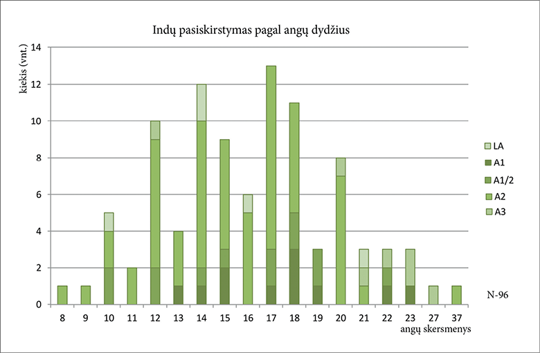 6%20pav..jpg