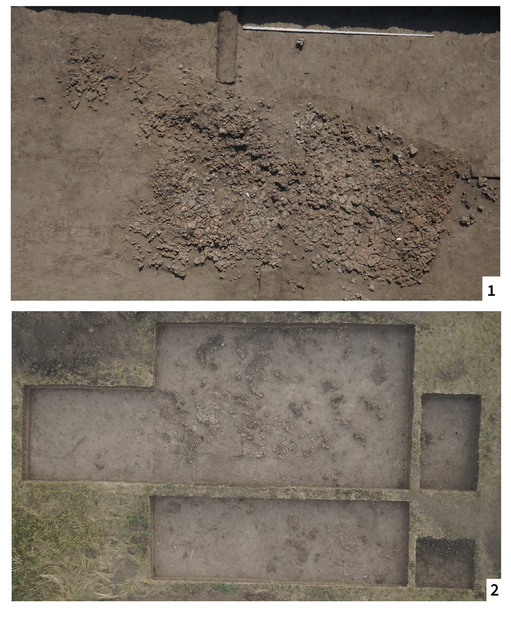 fig3.jpg