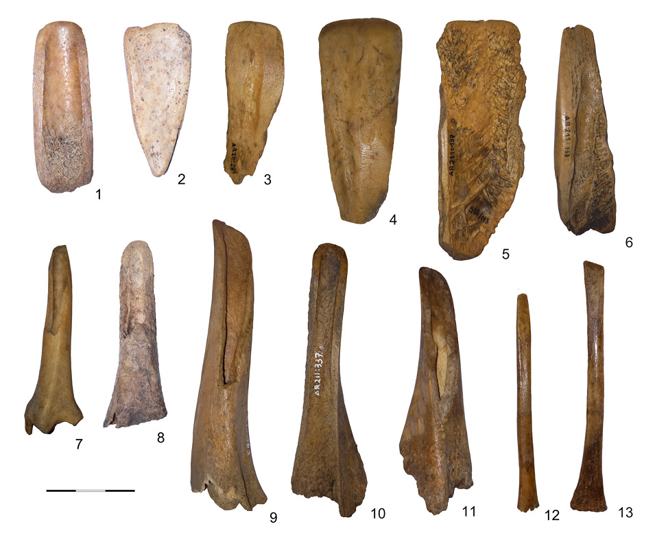 BA_Bone_Tools_Fig_5.tif
