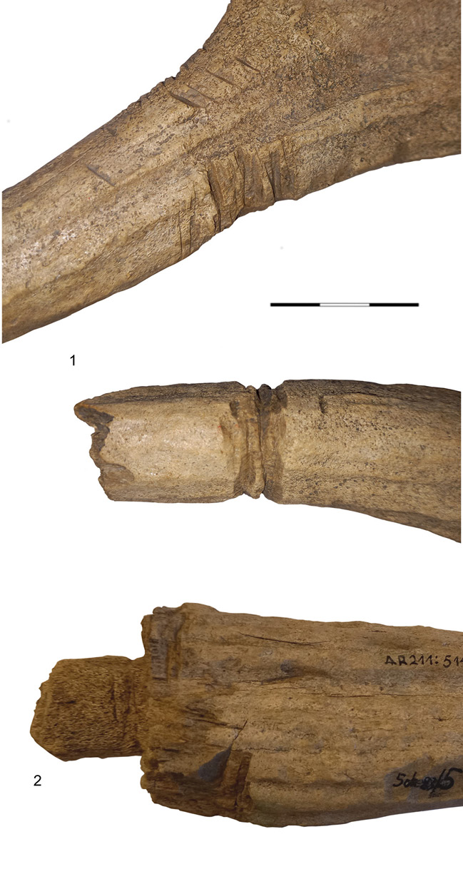 BA_Bone_Tools_Fig_12.tif