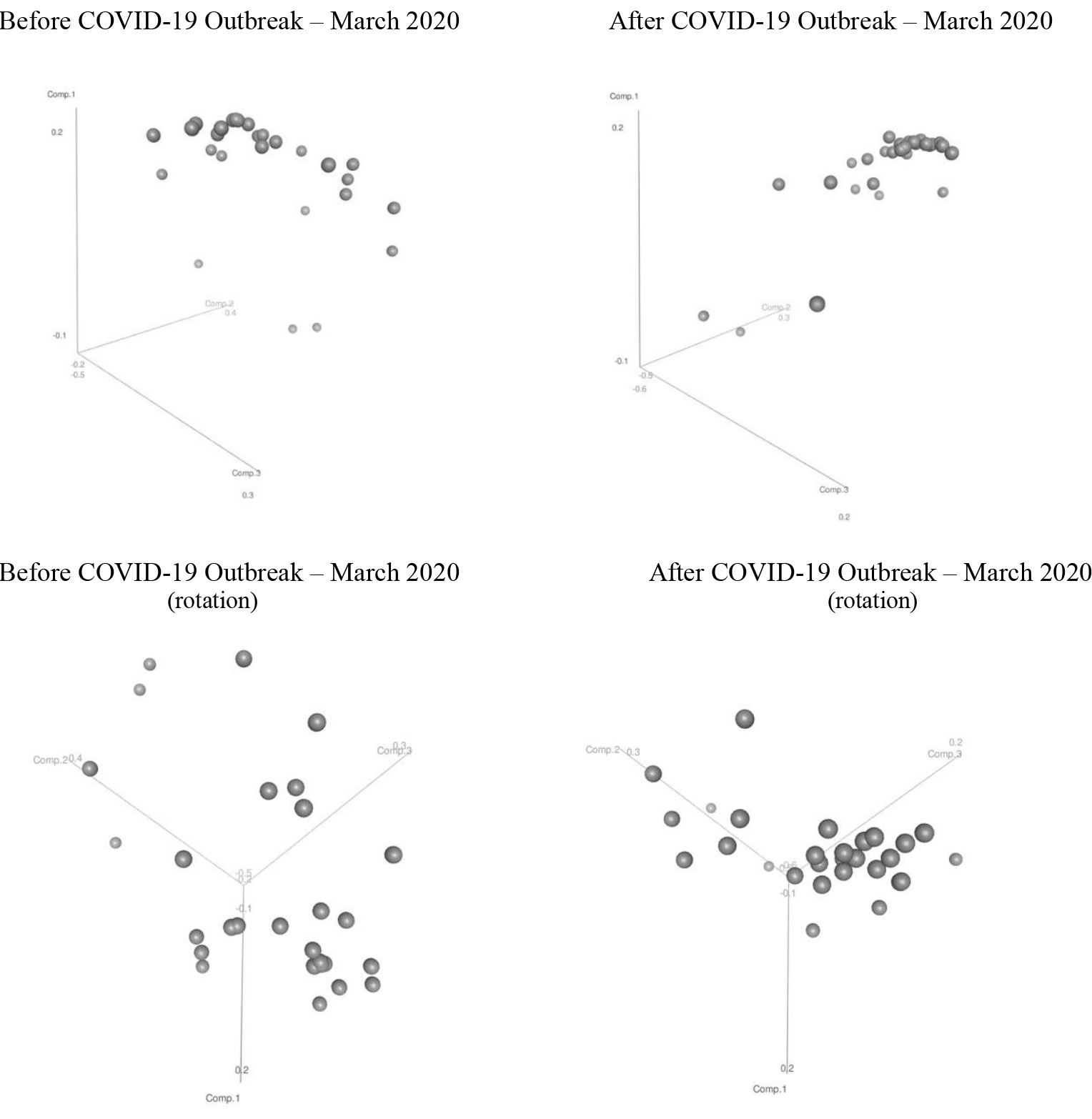 Rumsas_2.pdf