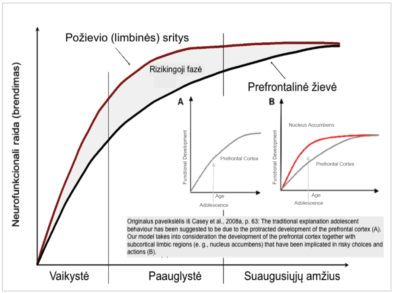 4_2_pav.pdf