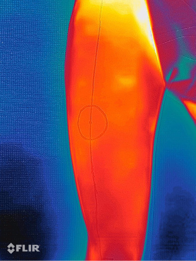 saltis-2.jpg