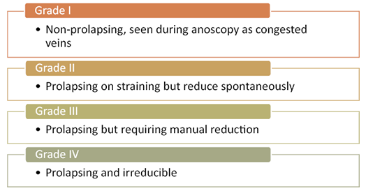 A white background with text describing the different grades of prolapsing.

Description generated by AI