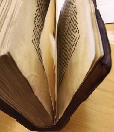 На иллюстрации представлено фото листов 135r и 135v, 136r и 136v, которые отличаются меньшим размеров от остальных листов экземпляра Псалтыри 1522 года из коллекции Библиотеки герцогини Анны Амалии в Веймаре. Фото автора.