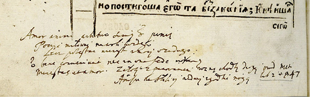 Нижній край аркуша книги з рукописними маргіналіями латинською і польською мовами під друкованим текстом. Другий і третій рядок маргіналій ізнизу – латинська цитата з «Метаморфоз» Овідія: “Non bene conveniunt nec in una sede morantur maiestas et amor. Ovidius, Metamorphoses. Liber 2, vers 847.