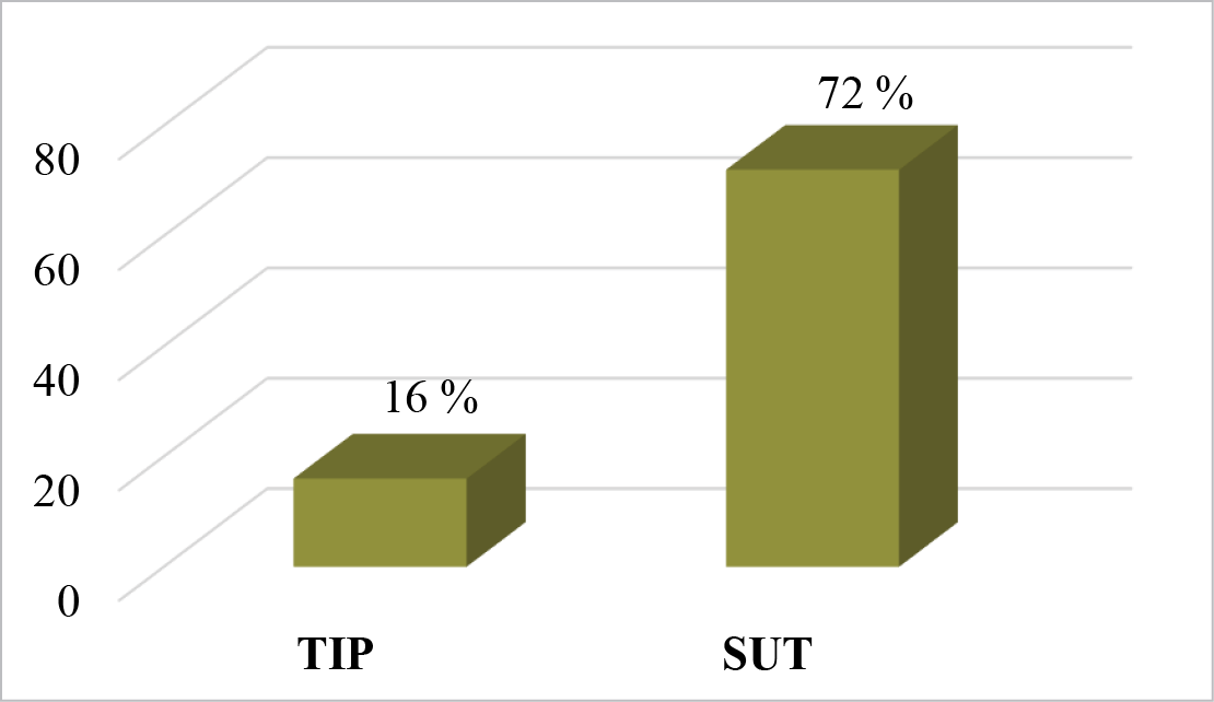 Budv_5_pav.pdf