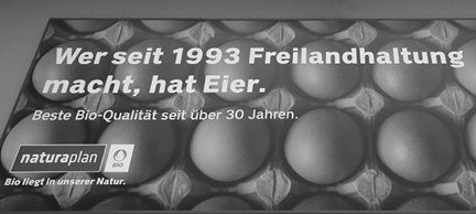 A carton of eggs with German text promoting organic free-range eggs and emphasizing quality and nature.

Description generated by AI